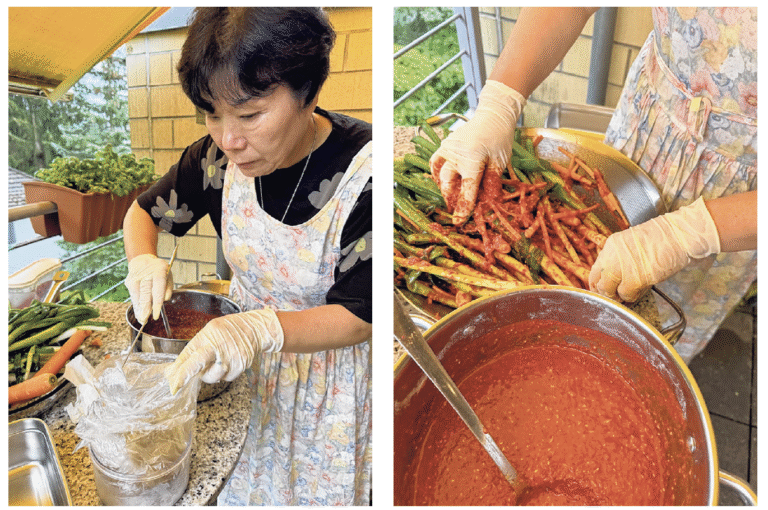 In the News: “Kimchi ist mehr als ein Nahrungsmittel”